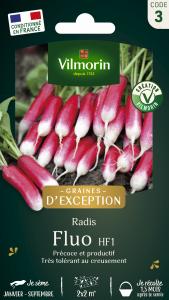 Radis Fluo HF1 - Graines d'Exception